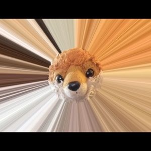 Meet your Posher, Ericka